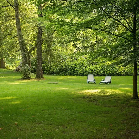 Parkhotel Hohenfeld Hotel