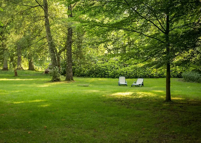 Parkhotel Hohenfeld Hotel